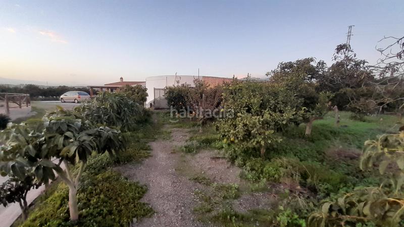 Foto 9fe253dd-39f8-4f24-af2b-d864081a58a9. Masía en calle manuel de falla 4 se vende finca con casa y árboles 1km en Algarrobo Costa