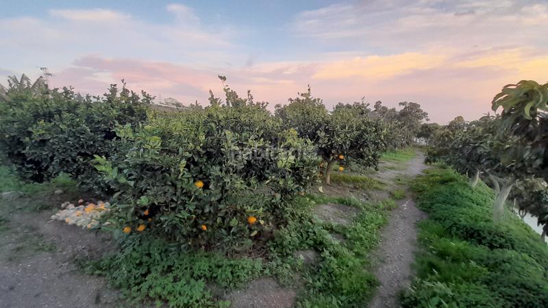 Foto df138adf-266a-46e6-98be-e8d7624e3904. Masía en calle manuel de falla 4 se vende finca con casa y árboles 1km en Algarrobo Costa