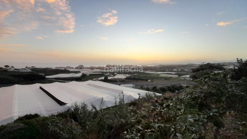 Foto e063ea19-cc48-42e1-8a3b-f56ad7f4ef1f. Masía en calle manuel de falla 4 se vende finca con casa y árboles 1km en Algarrobo Costa