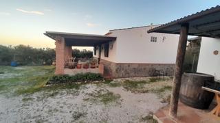 Masia a Calle manuel de falla 4. Se vende finca con casa y árboles frutales a 2km de algarrobo