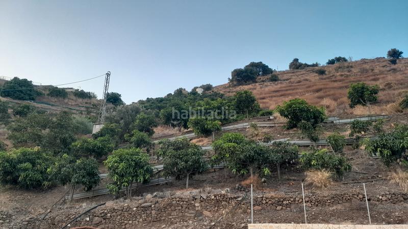 Foto 833a9b9f-7a22-4c82-bf62-1a621ebcfd53. Propriété dans calle gloria 226 dans Algarrobo pueblo Algarrobo