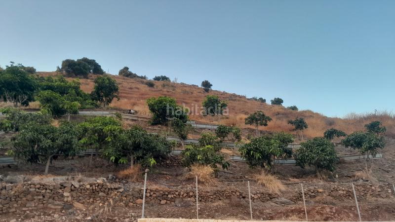 Foto e4cc33ce-f38d-4965-ae0a-9f8e31902c13. Propriété dans calle gloria 226 dans Algarrobo pueblo Algarrobo