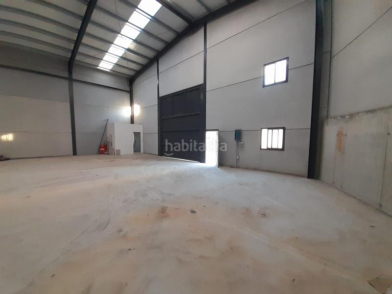 Foto 0312de5c-42b3-4f31-8955-285453b2661d. Rent industrial building in calle carpintero 33 in Algarrobo