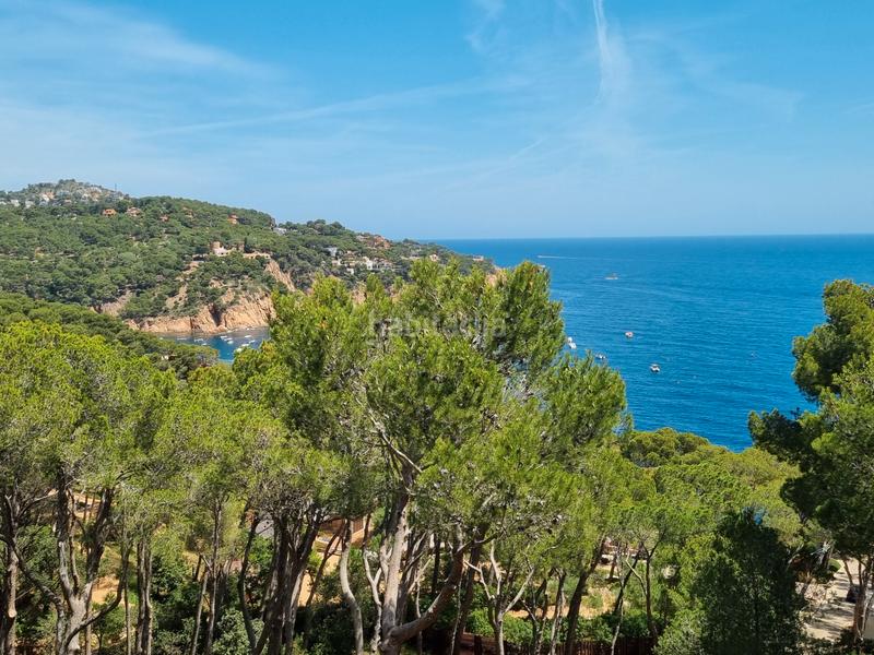 Foto f7d5f47f-8ea8-4d30-ae35-fa705dd409eb. Apartment with pool in Tamariu