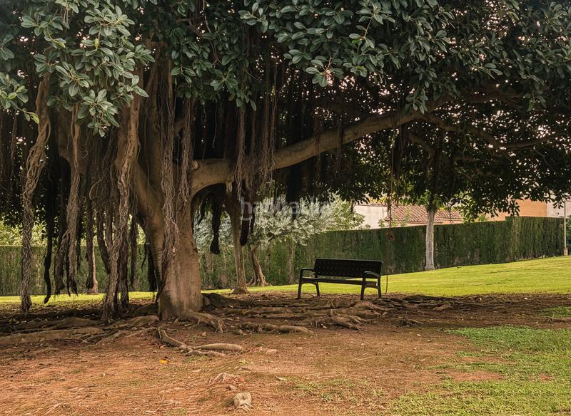 Foto 087d633c-8fef-4a78-8631-2af4dfb75ed7. Alquiler piso en avenida retor emilio bayarri 9 maravilloso piso en residencial con piscina y jardines en Puçol