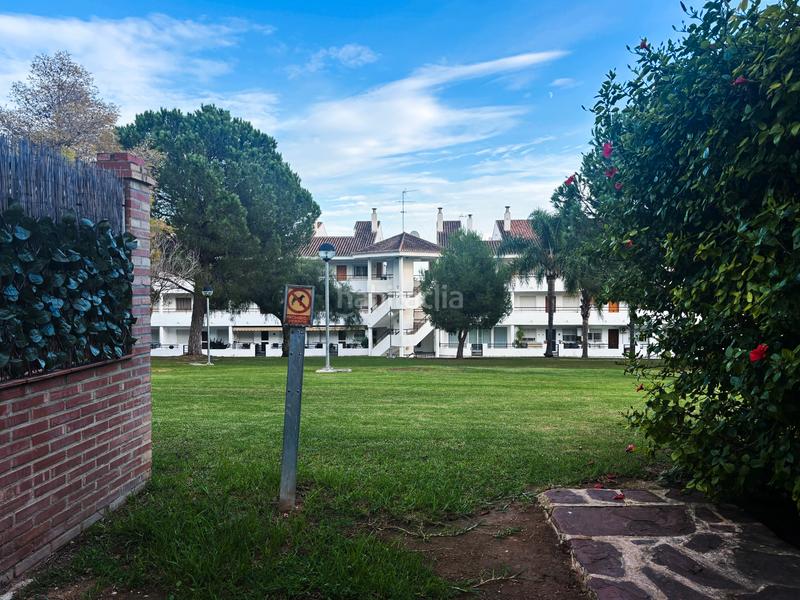 Foto 7e524980-7ab3-420f-8072-953bad0c74b1. Alquiler piso en avenida retor emilio bayarri 9 maravilloso piso en residencial con piscina y jardines en Puçol