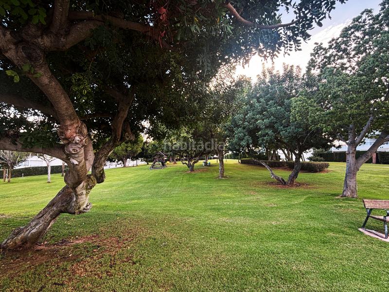 Foto c796b6b7-0c52-4640-bdc6-390844bff7d2. Alquiler piso en avenida retor emilio bayarri 9 maravilloso piso en residencial con piscina y jardines en Puçol