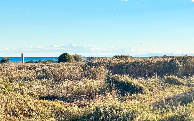 Foto 45179587-3207-4ec5-8861-439e9a304e9a. Piso en carrer llari 1 vive de vacaciones en Platja de la Pobla de Farnals Pobla de Farnals (la)