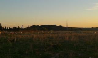 Finca rústica en Las Lagunas - Campano. Parcela segregada de 250 m zona de la hoya chiclana.