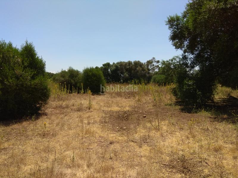 Foto 415ab27d-0a83-4a7a-b708-6ee2e8270b01. Rural plot in La Reconquista - El Rosario Algeciras