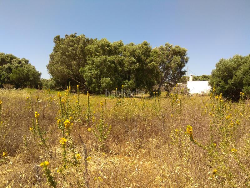 Foto 453325fe-9fb8-42d7-b757-7de20fc1a310. Rural plot in La Reconquista - El Rosario Algeciras