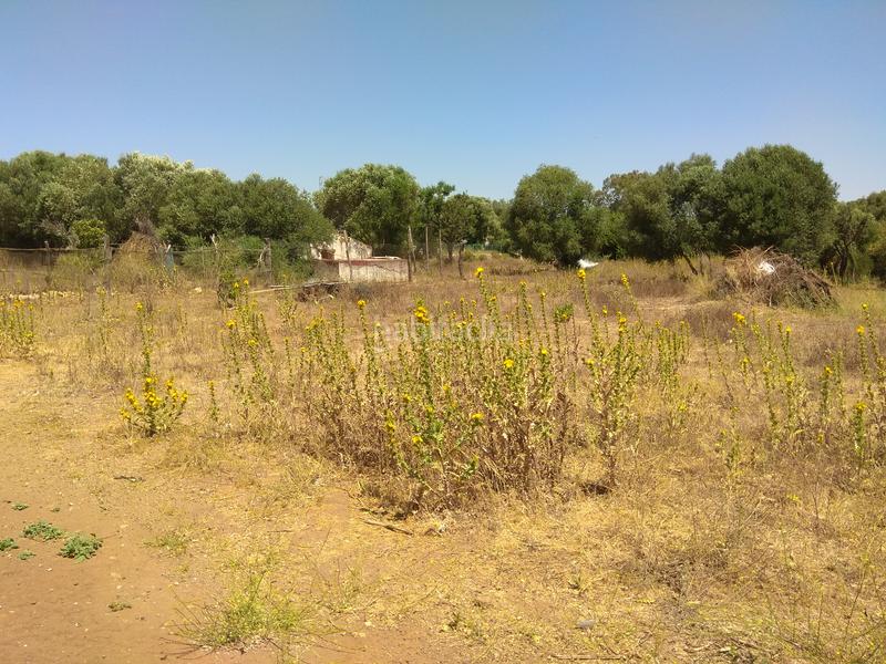 Foto 6ada03ce-e6bb-4208-8ce4-b3b12c080b75. Rural plot in La Reconquista - El Rosario Algeciras