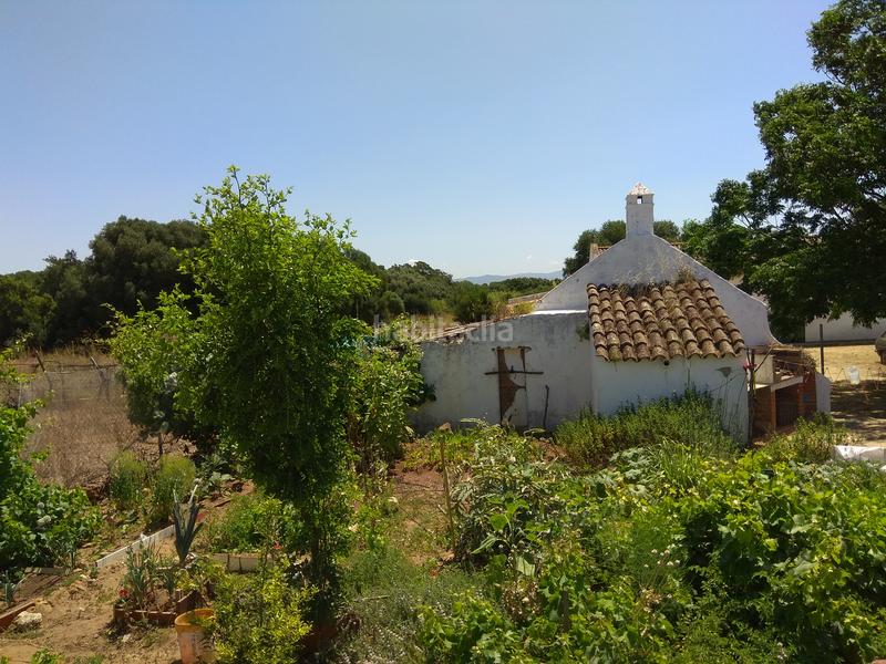 Foto c63dc36c-2c2d-47fc-96c2-a310d2d77341. Rural plot in La Reconquista - El Rosario Algeciras