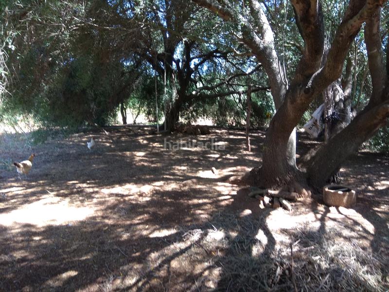 Foto e7ba5078-068c-4dcd-b67e-77f7b6a89209. Rural plot in La Reconquista - El Rosario Algeciras