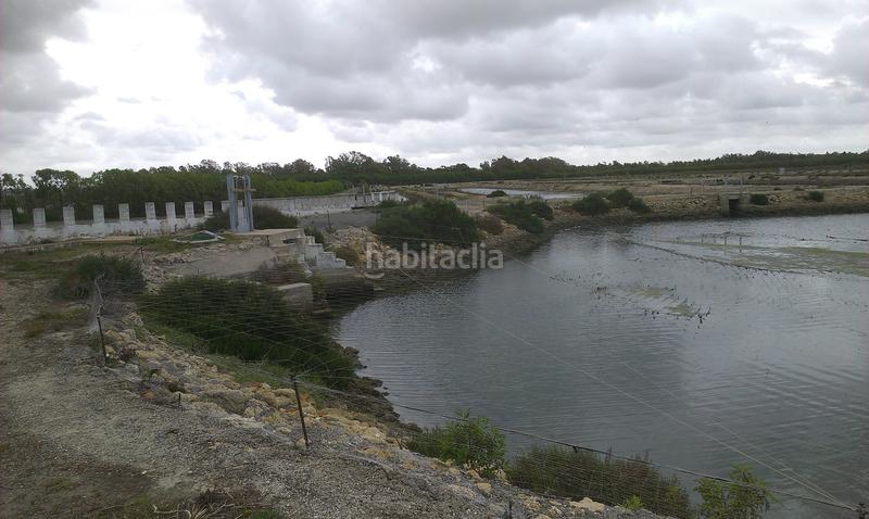 Foto f3c1ef73-a66b-4e48-aa02-d210f4c4b2a4. Finca rústica a La Pastora - La Estación San Fernando