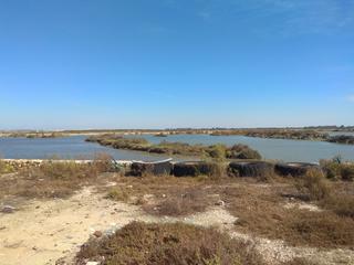 Finca rústica a La Barrosa. Vendo un estero cercano a santi petri de 60 hect.,