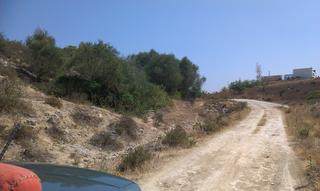 Finca rústica en Los Franceses - La Vega. Finca de  casi 90 hect en la zona de medina sidonia.