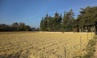 Residential Plot in Calle hijuela de la espartina 21. Parcela indivisa de 1.000 m en la espartosa chiclana.