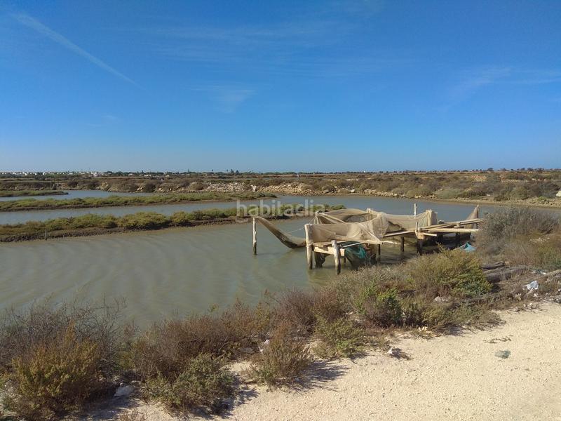 Foto 1fb034ac-ddac-4e18-a76e-bc7dc82dd261. Rural plot in Casco Antiguo Algeciras