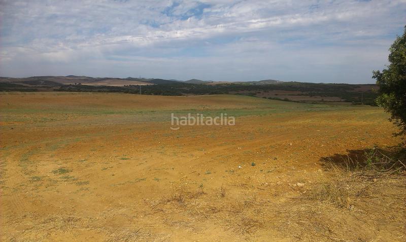 Foto 47939bfa-3957-4f21-8f43-6a4f6c53adca. Rural plot in Casco Antiguo Algeciras