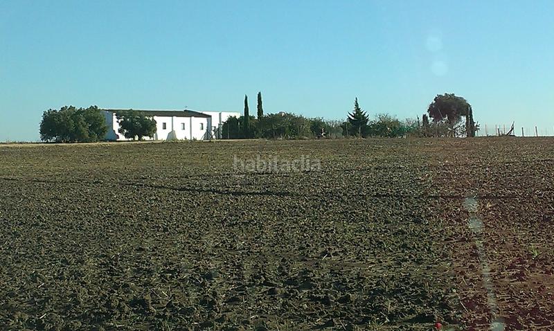 Foto c6209643-002f-4235-827a-c00f37ee3dc2. Rural plot in Casco Antiguo Algeciras