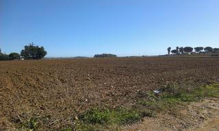 Propriété à Medina - Sidonia. Finca de secano  casi 8 hect. zona los ardales, medina sidonia.