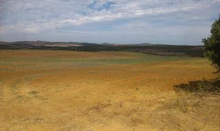 Finca rústica en Los Franceses - La Vega. Finca de 10 alanzadas de terreno en termino de puerto real.