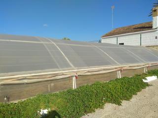 Finca rústica a Conil. Vendo un invernadero de 2 alanzadas en conil vivienda etc.