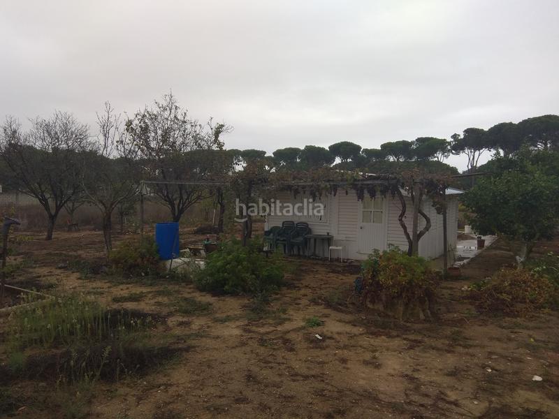 Foto 185e8d24-cb4a-48cb-85ea-a46ed85bc75d. Terreny residencial a Los Gallos Chiclana de la Frontera