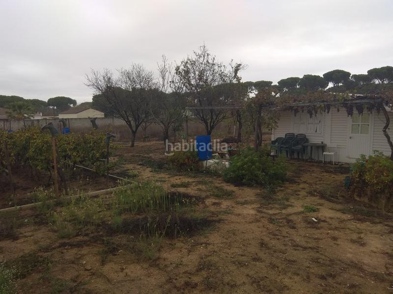 Foto caad8ee9-e590-4a77-916c-160cd7904286. Terreny residencial a Los Gallos Chiclana de la Frontera