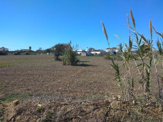 Fondo rustico in Las Lagunas - Campano. Parcela de 800 m indivisa zona palillejo 32.000 e.