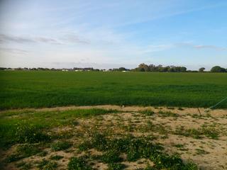 Finca rústica a Carretera del marquesado 605. Parcela de labor en zona de campo de 9.900 m chiclana de la fron