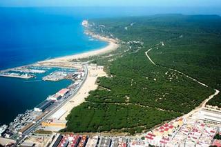 Edifici a Casco Histórico - Ribera del Marisco. Vendo un camping en la provincia de cadiz,