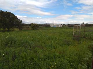 Finca rústica en Pelagatos - Pago del Humo. Parcela segregada de 2.200 m cerca venta la raya , pago del humo
