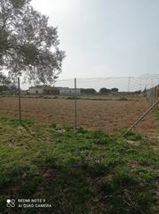Finca rústica en Sancti Pietri. Finca con licencia de camping junto al clug de golf , chiclana.