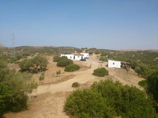 Propriété à Medina - Sidonia. Finca  de recreo de 90 hect aprox zona medina sidonia.