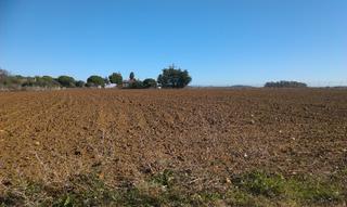 Fondo rustico in Pelagatos - Pago del Humo. Finca ganadera  de 1.245 hect provincia de cadiz.