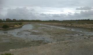 Propriété à Barriada Río San Pedro. Finca de estero de 40 hect en propiedad ,autovia puerto real .