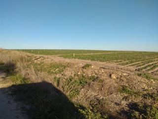 Finca rústica a Arcos de la Frontera