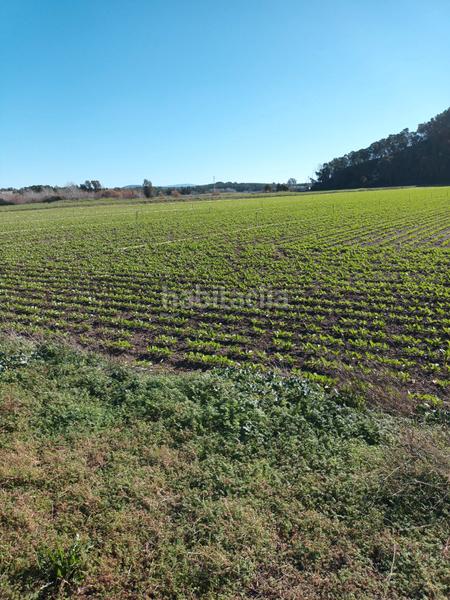 Foto 5a458256-b8b1-4578-b96a-15fa8081763b. Landgut in Ctra Jerez-Ctra del Puerto Sanlúcar de Barrameda