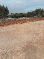 Finca rústica a Oromana. Finca de 340 hect zona sevilla, toda de olivos .
