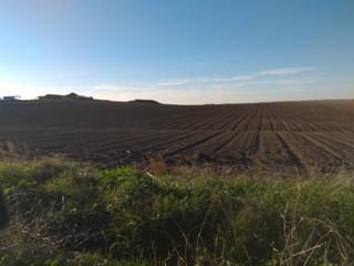 Fondo rustico in Ctra Jerez-Ctra del Puerto. Finca rustica de secano y parte en riego , zona jerez.