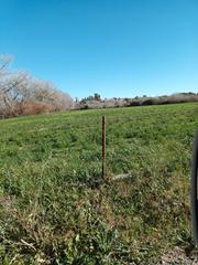 Fondo rustico in Ctra Jerez-Ctra del Puerto. Finca de riego de 18 hect zona puerto santa maria.