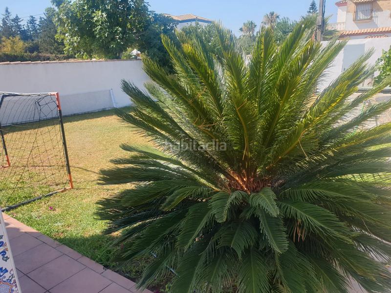 Foto 0747286a-bd91-40c4-adce-e9d8f3374d73. Xalet amb xemeneia piscina a Los Franceses - La Vega Chiclana de la Frontera