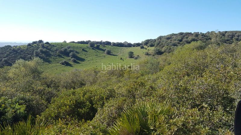Foto 313488b2-ad40-4649-93a5-ebecae963b9e. Finca rústica a Oromana Alcalá de Guadaira