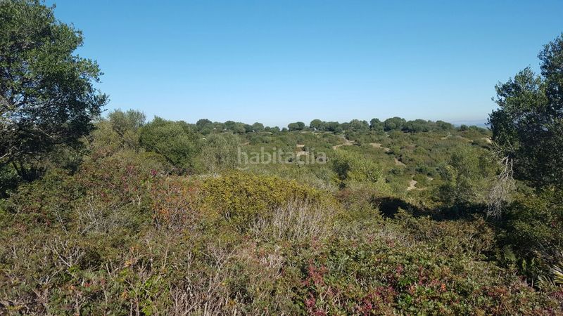 Foto 781276c8-d049-4b28-ad52-10a612dfce3b. Finca rústica a Oromana Alcalá de Guadaira