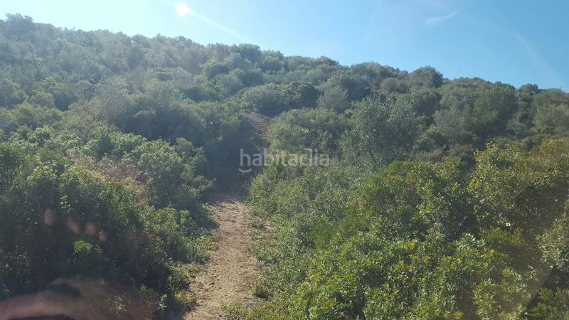 Foto be551e01-8b6b-4c7a-8390-d01146a9319c. Finca rústica a Oromana Alcalá de Guadaira