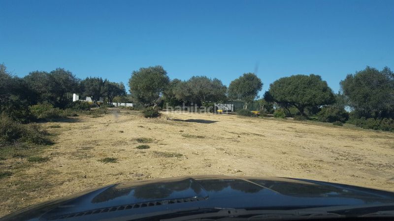 Foto bf4675d2-6225-40d1-b2a1-9fbaeb8dda88. Finca rústica a Oromana Alcalá de Guadaira