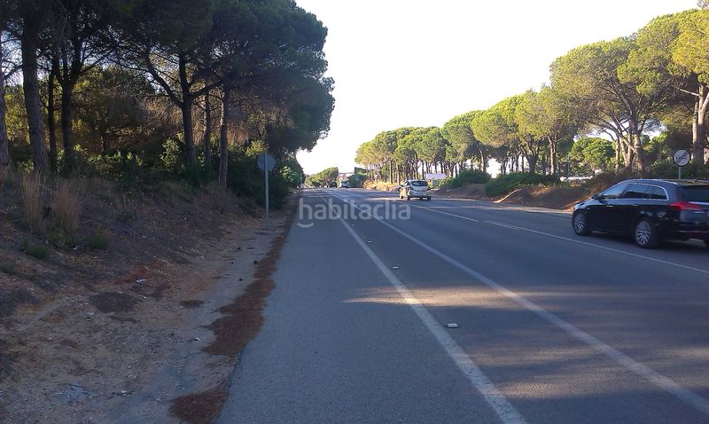 Foto f8692c15-d4c2-4939-bb71-8d1956d5ed6f. Affitto area edificabile industriale in Los Franceses - La Vega Chiclana de la Frontera