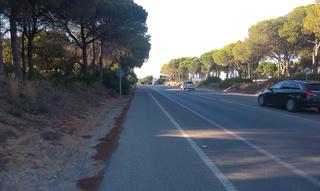 Lloguer Solar industrial  Avenida del mueble. Alquilo suelo para gasolinera en chiclana , zona espectacular.